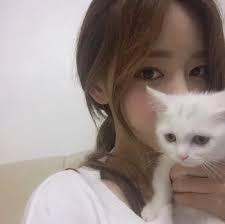 一袋猫粮350,猫粮一袋吃多久