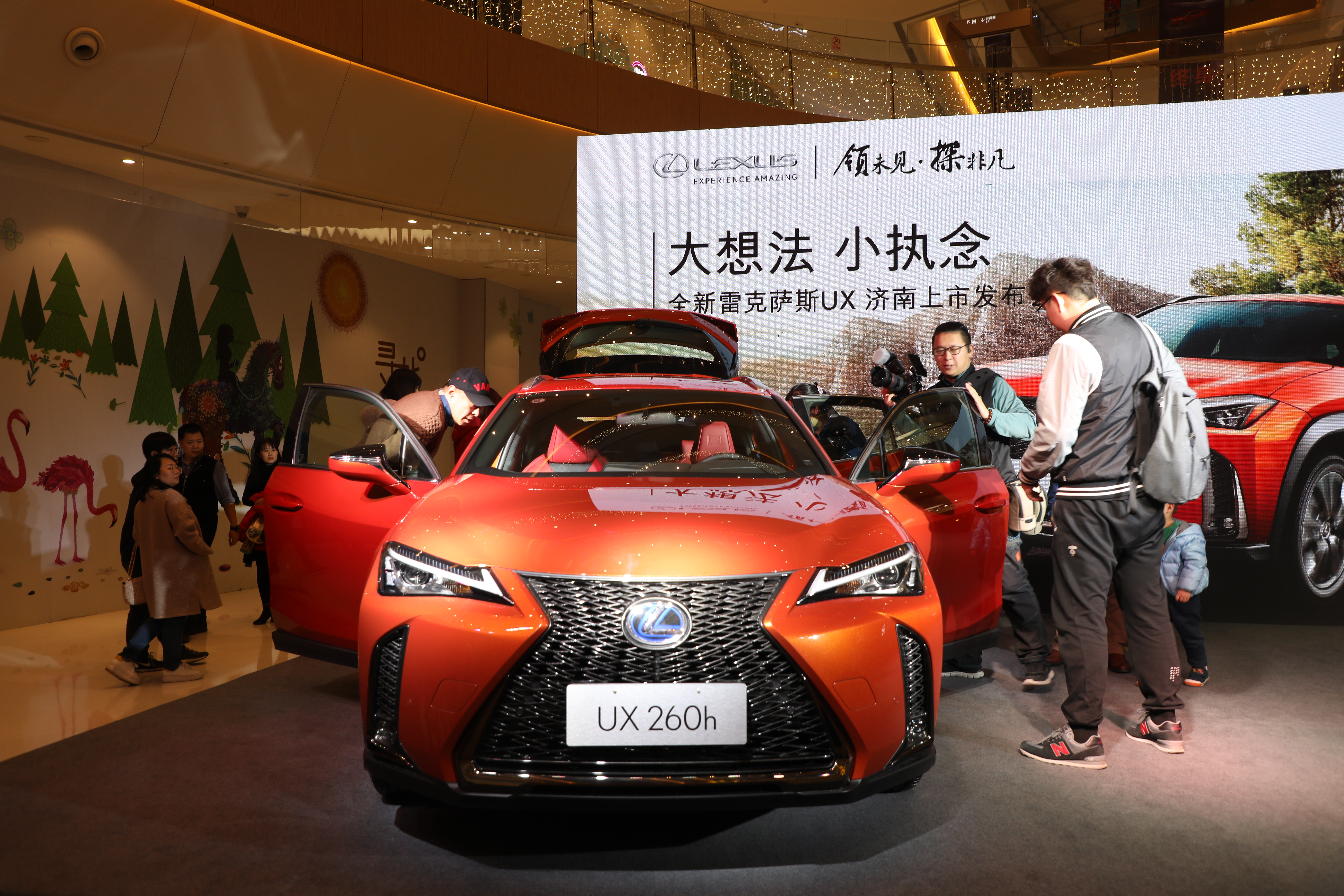 雷克萨斯ux混动能上绿牌吗,雷克萨斯ux宝马x1