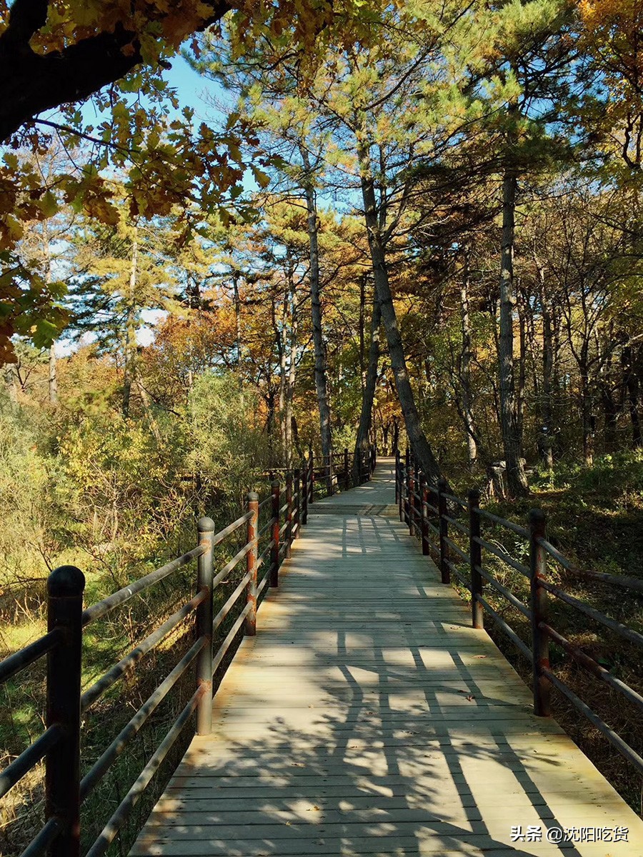 新冠大魔王还没打败，五一可别乱跑，咱就来个沈阳周边野餐郊游吧