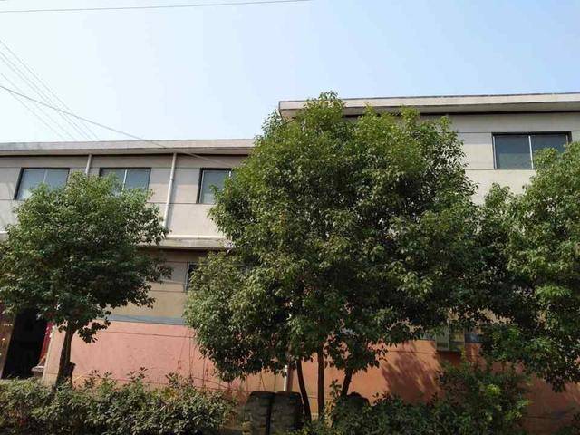 临沂市房屋拍卖公告,临沂房产大量出售