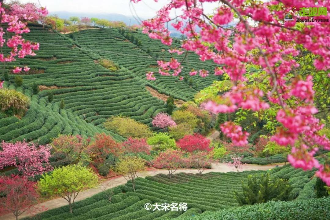 过年了爱车也要干干净净,过年了你的爱车洗干净了吗