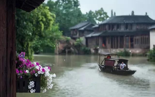 舌尖上的中国嘉兴粽子,嘉兴粽子五芳斋粽子做法