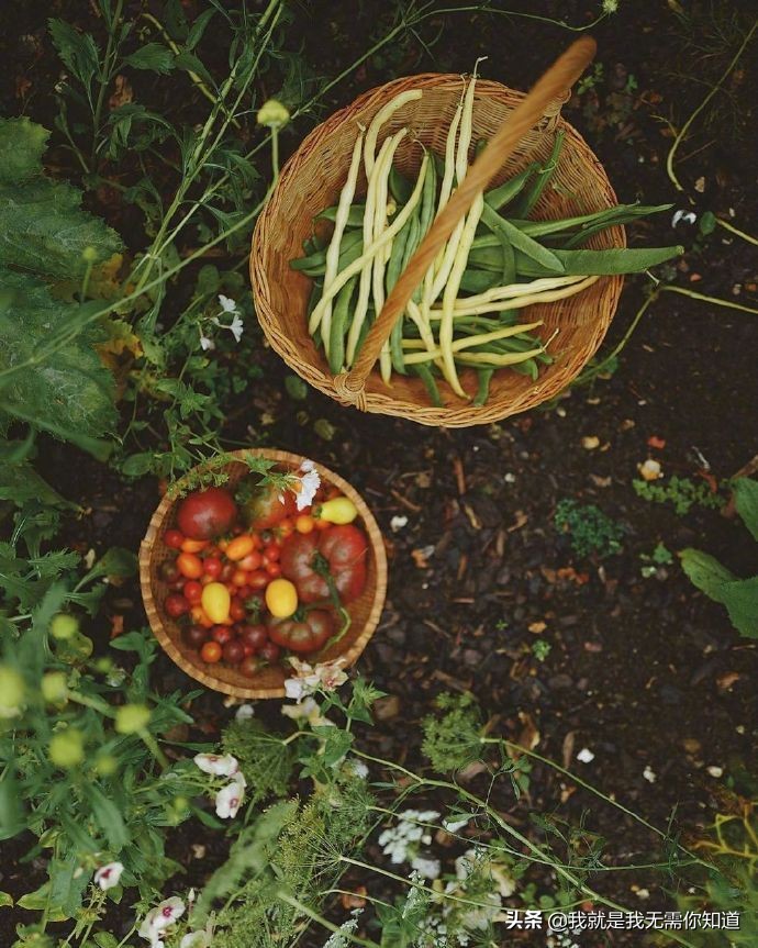 心理性暴饮暴食怎么办,心理学治愈暴食