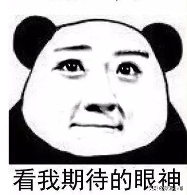 6个遭国外博主热烈追捧，丝芙兰卖断货的品牌，有你用的那款么？