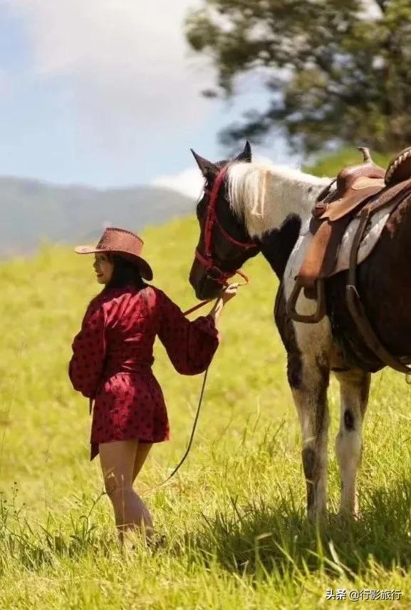 云南西双版纳地方介绍,云南西双版纳旅游简介