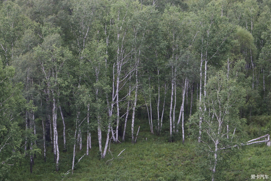 自驾囧途时刻,自驾游闯关东视频