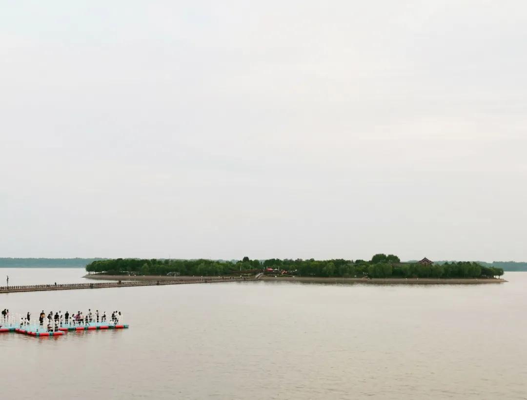 山东8个网红城市,山东比较名气大的网红