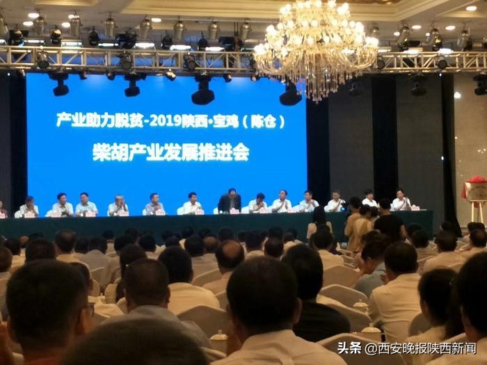 产业扶贫助力农民增收,产业扶贫助力乡村振兴