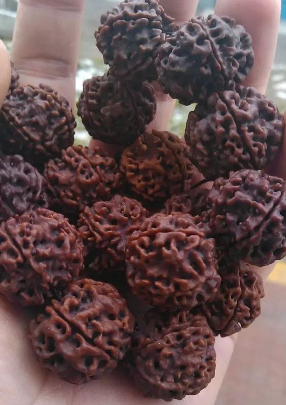 神明液体+鸡蛋+核桃油+白醋！上锅焖2个小时！让人大吃一惊