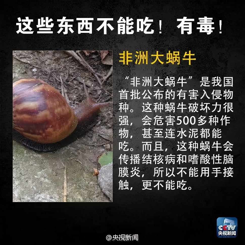 食安辟谣健康常识,食安科普的危害