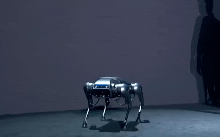 雷军铁蛋售价,雷军机器人铁蛋