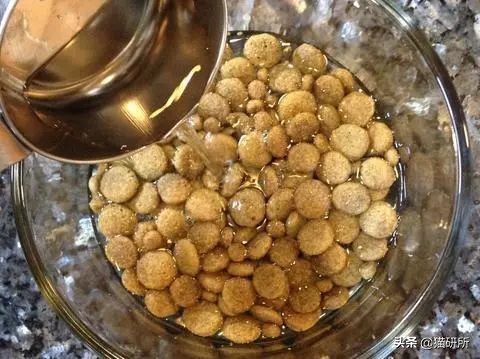 两个月的猫咪吃泡粮好还是干粮,猫咪喂粮应该都喂些什么