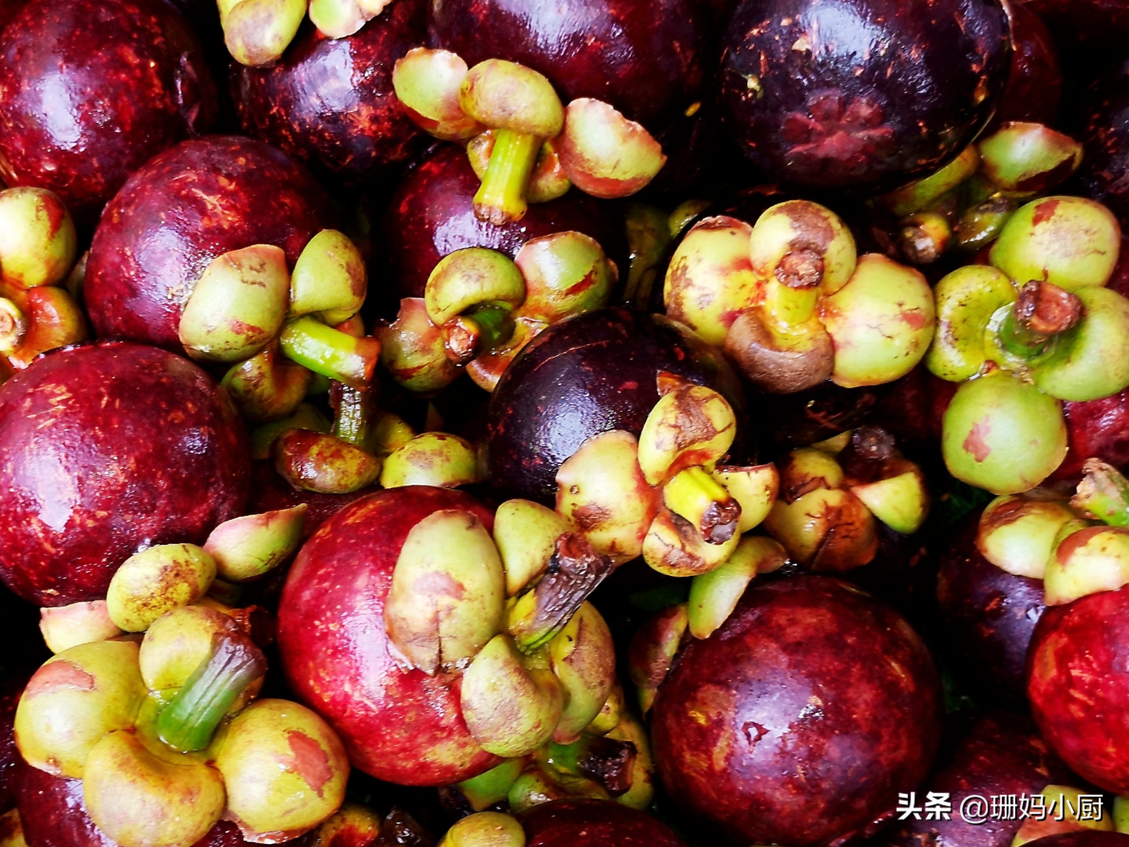 怎么挑山竹的好坏,怎么挑选山竹技巧图解