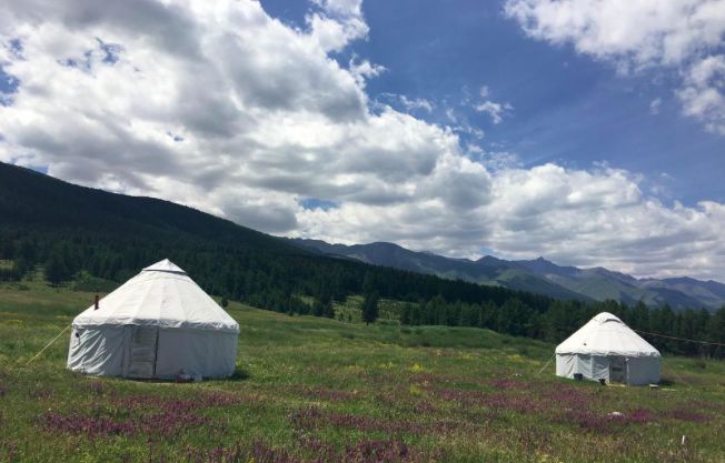 西北农村民宿,西北风格民宿