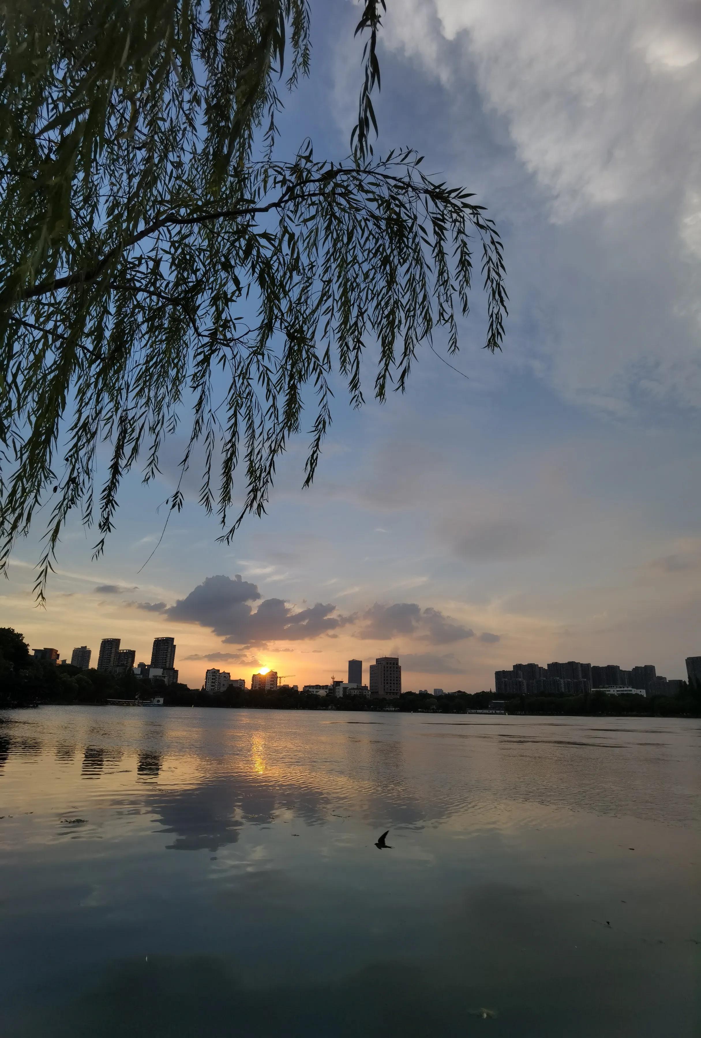 手机摄影手册圈友作品选第5期,手拍世界摄影交流平台