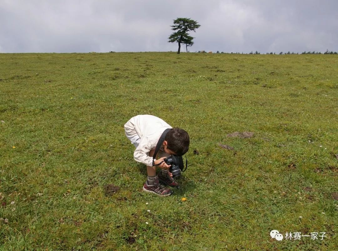 图片展：从独步长城到全家人爱上长城