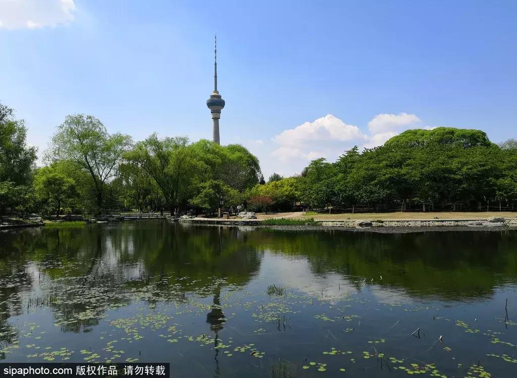 周末北京这些值得去的地方,北京周末来这儿玩