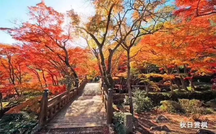 包租回购是什么套路,包租回购