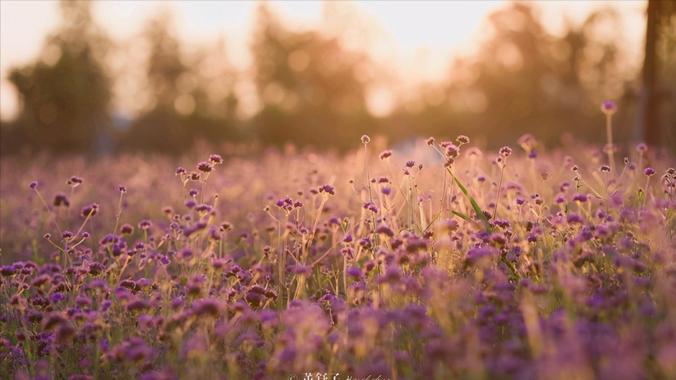 江苏省盐城市有哪些县和区,浅谈全国各省份