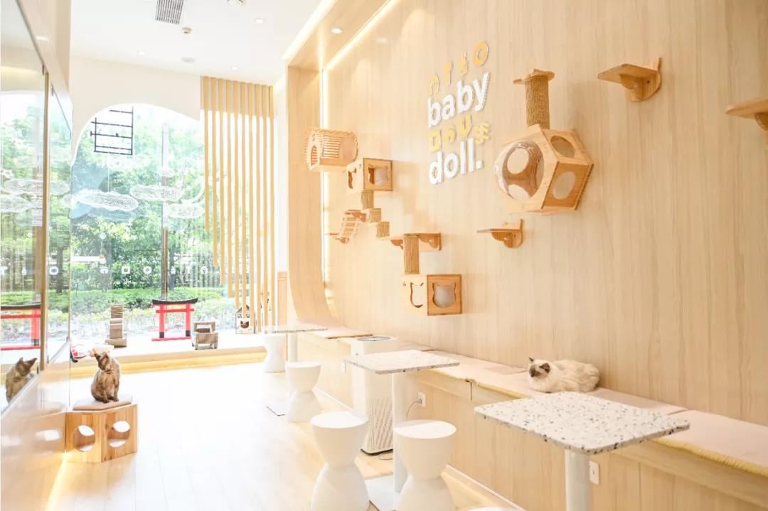 可看展、能出片、大折扣……这个长假，浦东这家商场掀起打卡热潮