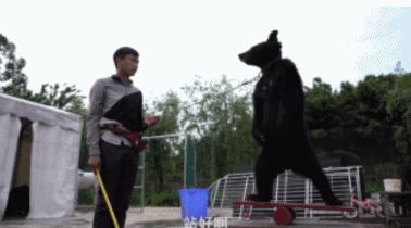 富二代晒骨皮包的残忍真相,富二代晒人骨皮包的残忍真相