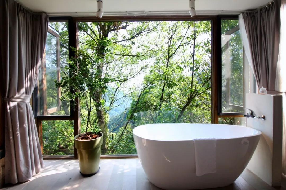 有着双重人生的小城青田，你对它的实力一无所知