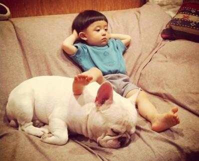 世界上所有的狗品种图片,世界最名贵的狗前十名及其简介