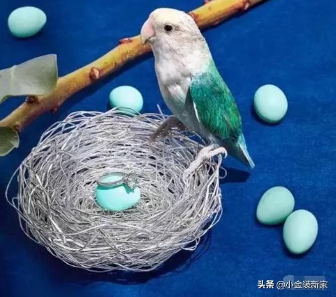 tiffany的家居系列,tiffany家居系列