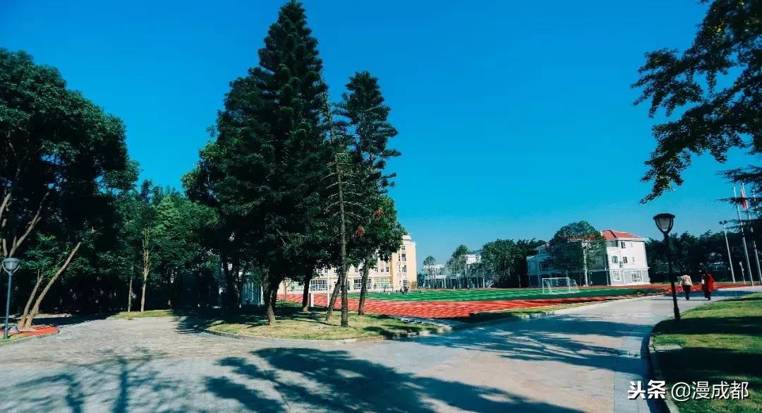 成都最美的校园,成都最美的大学校园