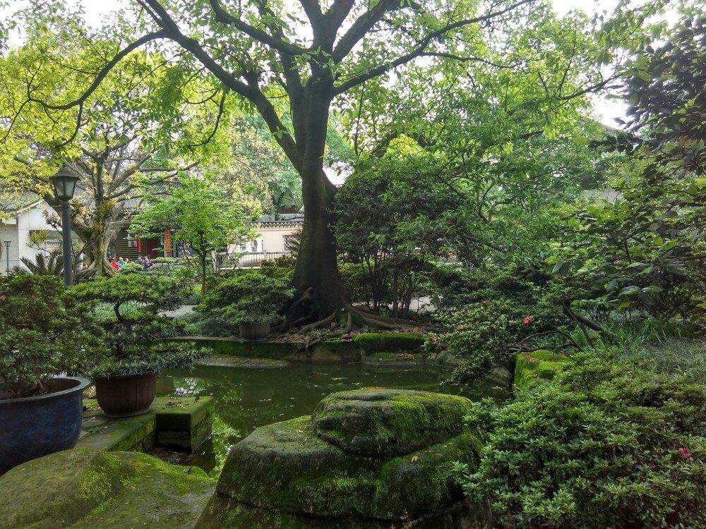 国内旅游不宰客排名,全国旅游不宰客旅游路线