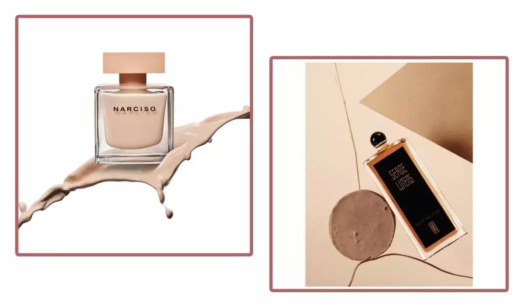 新手必看的系列,新手必看系列图片