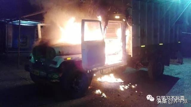 阿三赚钱是真的吗,阿三和奶牛