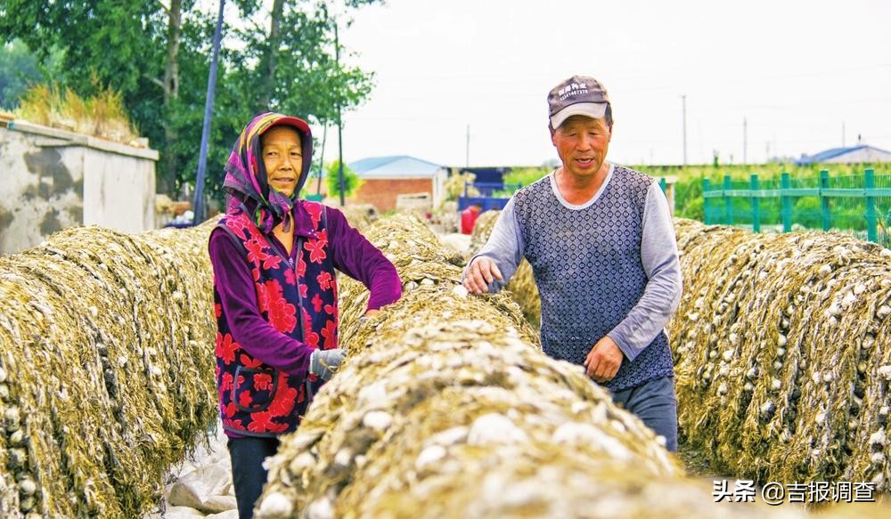 有图有真相的攻略,有图有真相逆战