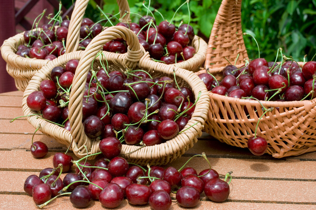 樱桃的储存时间是多久呢,樱桃怎么储存可以放的时间最长