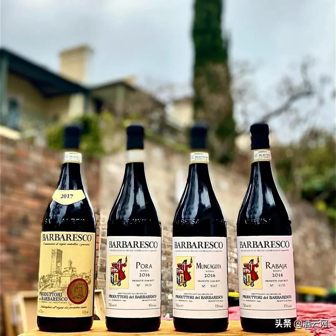 世界醉强合作社是怎样炼成的