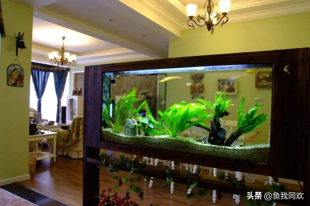 养鱼过滤系统原理,7s鱼缸的飞泓过滤系统怎么样