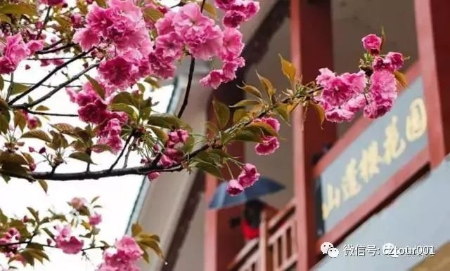 常州这10个被全省表彰的“网红村”、“创意园”，你去过吗？