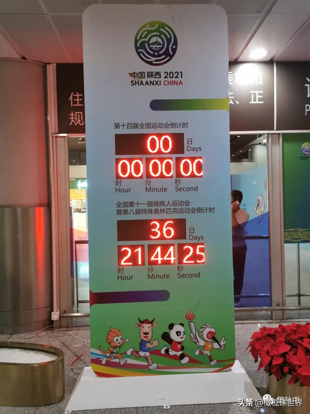 我和我的体育故事,我和运动会的故事