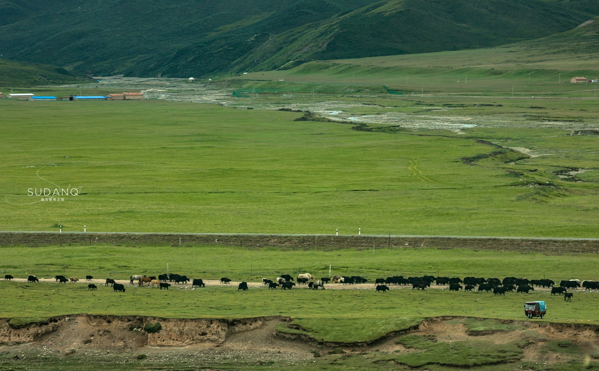 自驾游昆仑山大峡谷,祁连探秘