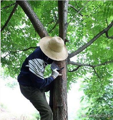 大漆八大守护佛珠,大漆犀皮佛珠教程