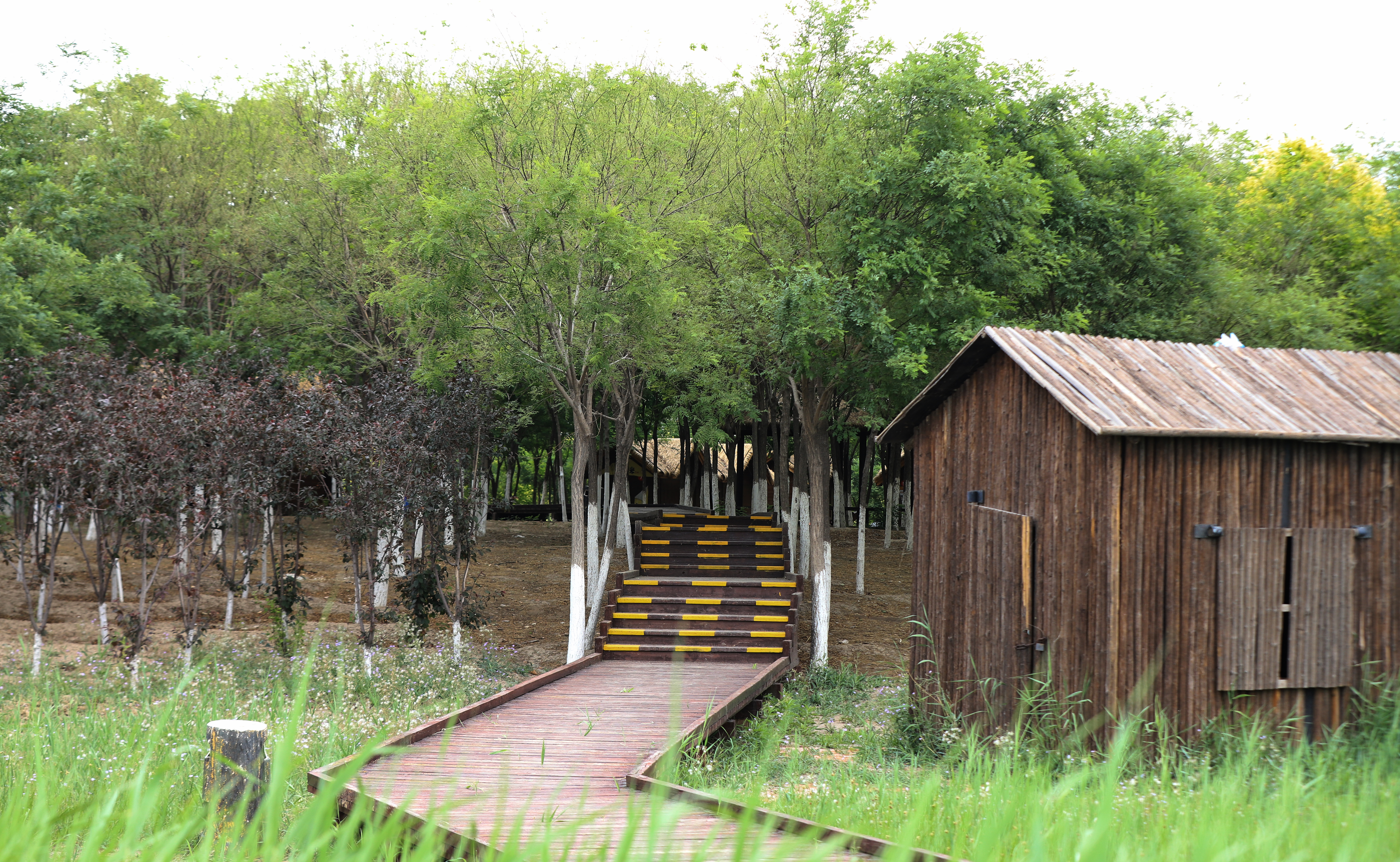 秋高气爽公园散步随拍,深秋天津的郊野公园