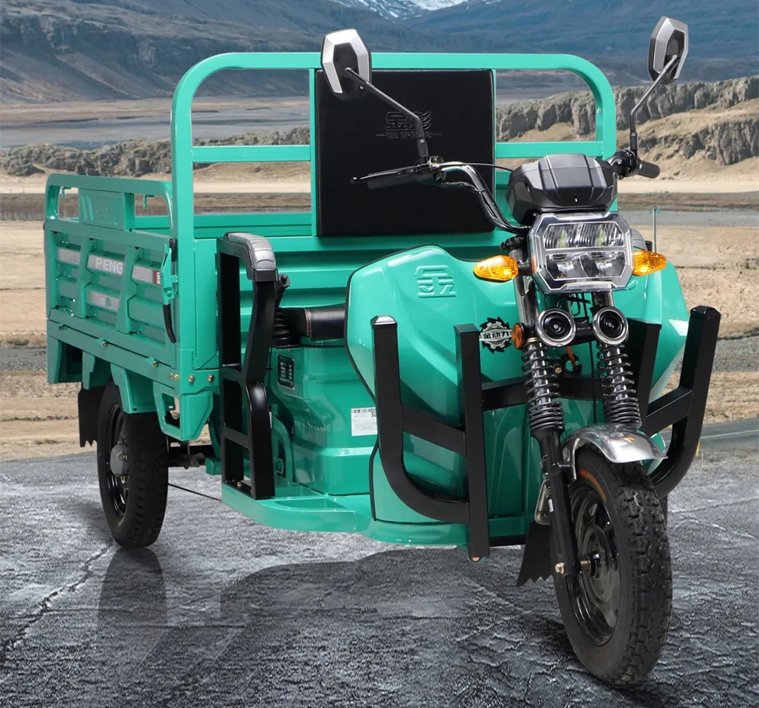 动力最强劲的电动三轮车家用,最新款的电动三轮车有哪些