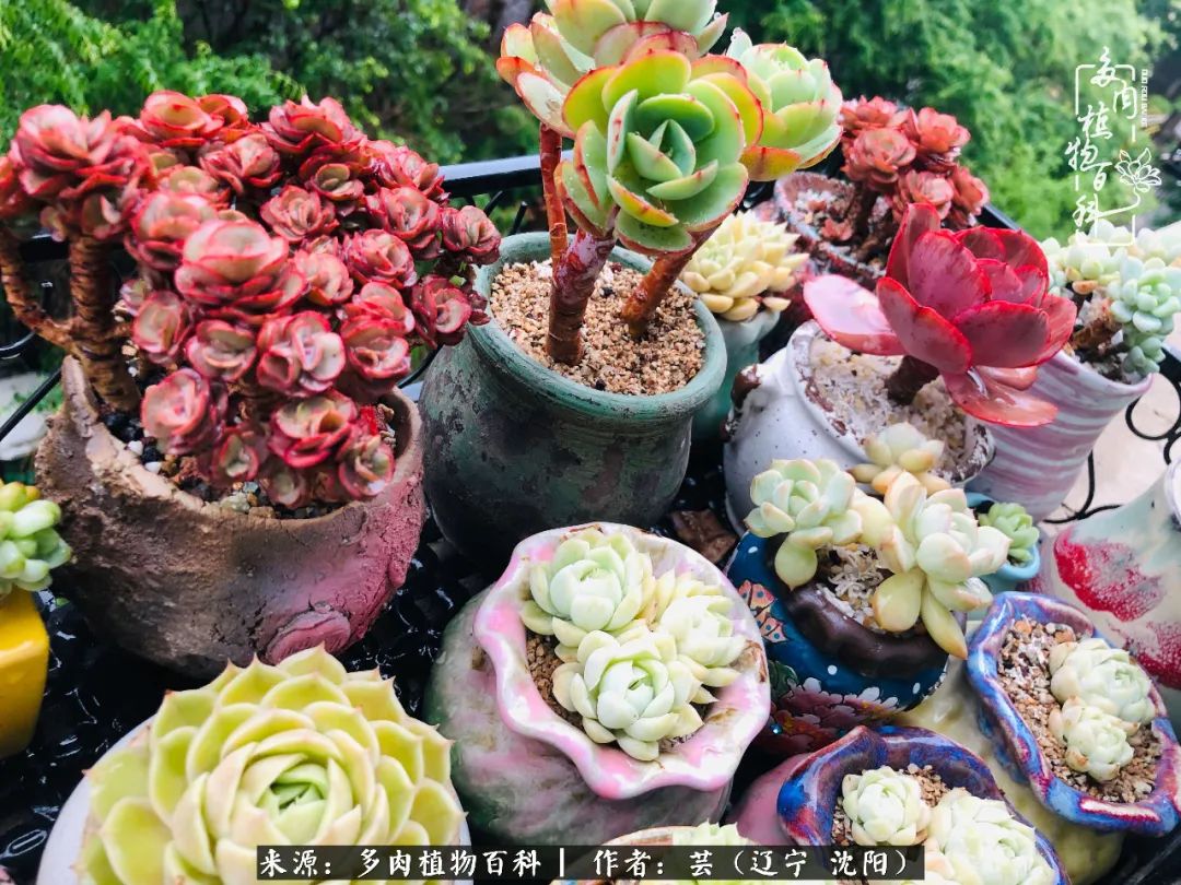 万物皆有灵性有因必有果,万物皆有灵性与生命