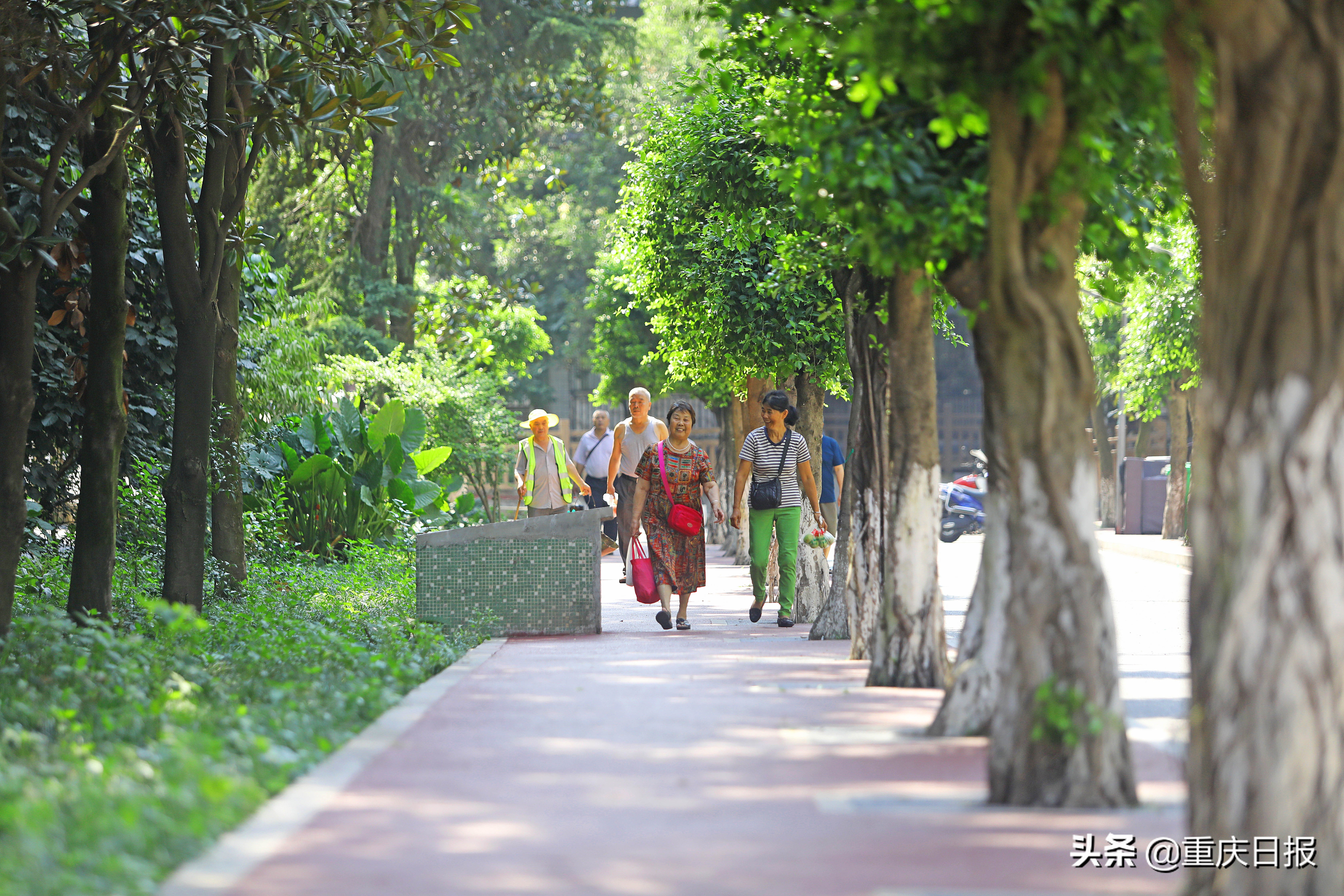 九龙街道旧村改造,漳州九龙新村改造