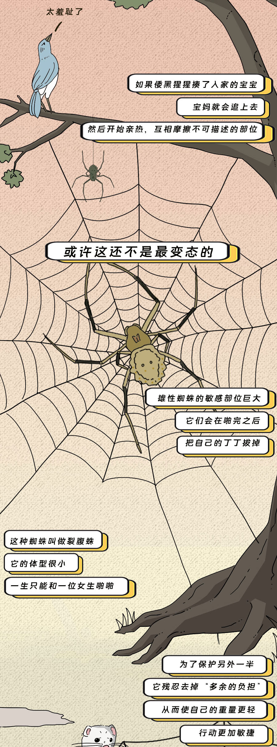 那些羞羞的事：动物是如何啪啪啪的？