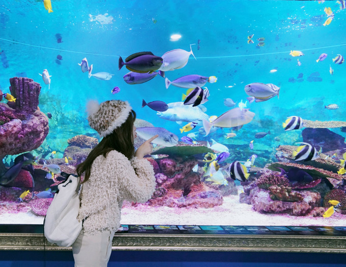 去韩国必买清单,韩国购物攻略衣服