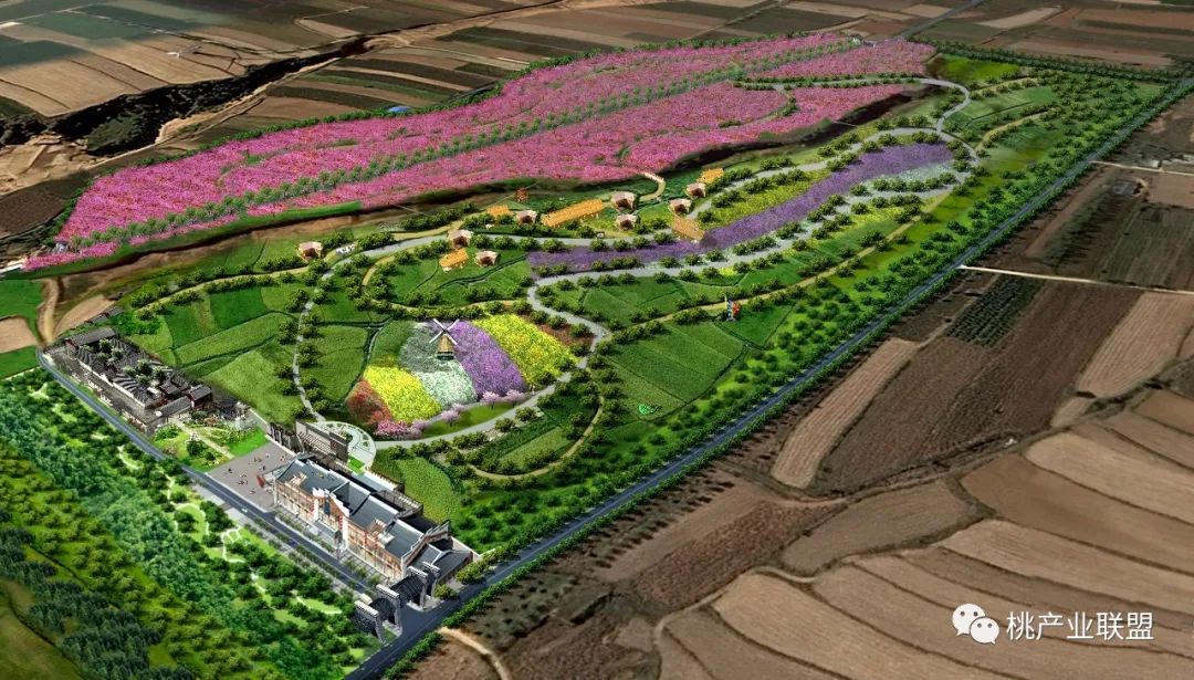 「运城日报」中农乐桃花源：“河东桃”的“大脑”