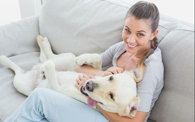 宠物狗哪种比较便宜最好养,宠物狗最便宜最好养