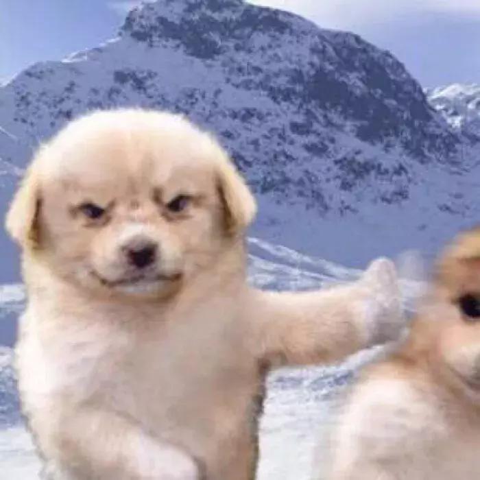 异地恋除了聊天还能做什么,异地恋除了聊天还能干啥