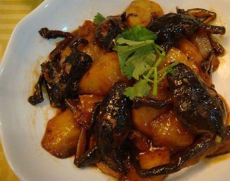 特产谱之动物人参：位列上八珍，称软黄金，在冰雪下冬眠五六个月